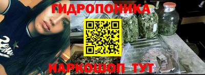 a pvp Новодвинск
