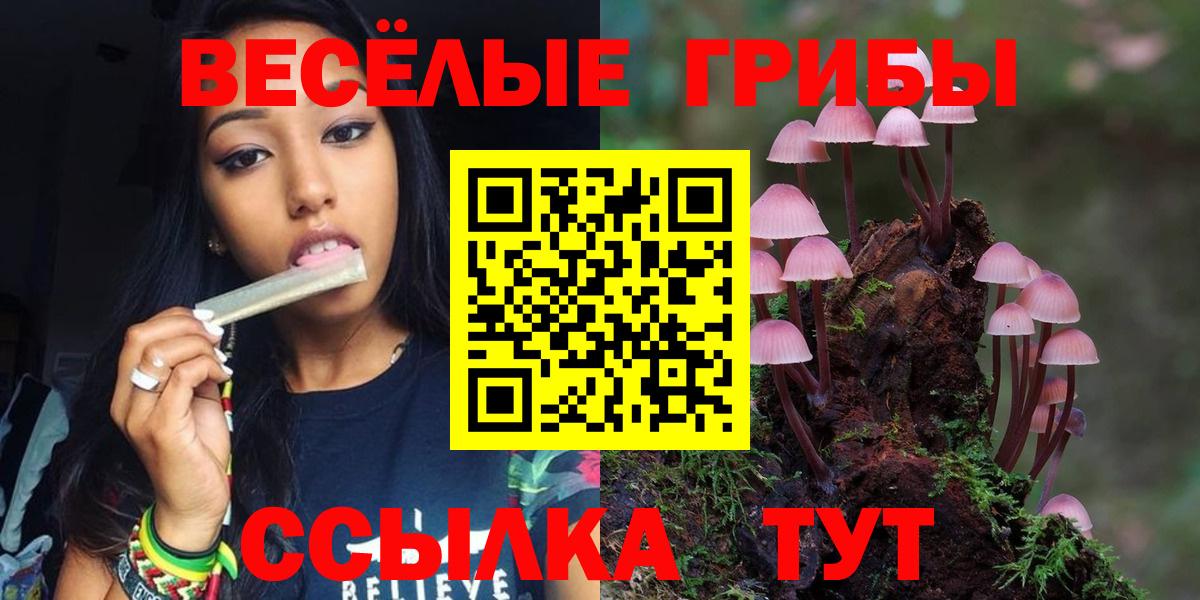 Сатка  Галлюциногенные грибы ЛСД  Вход с VPN 